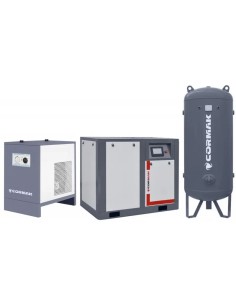 Compresor THEOR 30 cu invertor, eficienta maxima