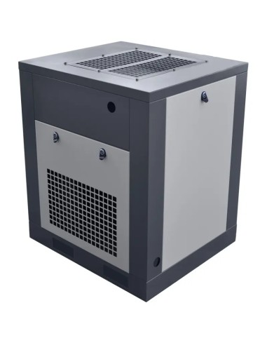 Compresor cu surub THEOR 10 - Robust si Eficient