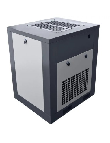 Compresor cu surub THEOR 10 - Robust si Eficient
