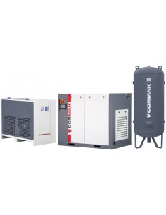 Compresor THEOR 75 cu Inverter Eficient