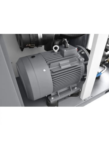 Compresor THEOR 75 cu Inverter Eficient
