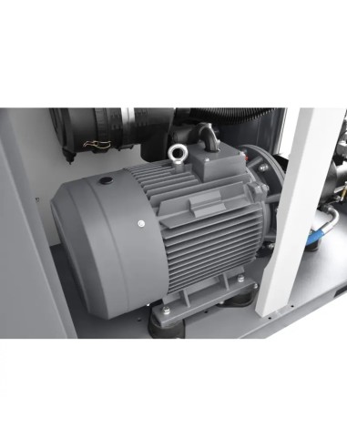 Compresor cu surub THEOR 75 cu Inverter Eficient