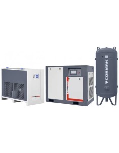 Compresor THEOR 50 Inverter - Optimizare Energie