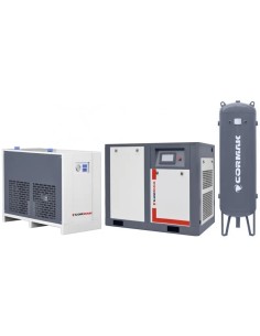 Compresor THEOR 50 Invertor - Economisire Energie