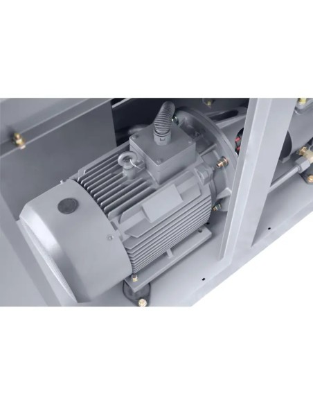 Compresor cu surub inverter 37kW - eficienta superioara