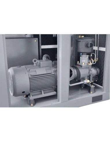 Compresor cu surub inverter 37kW - eficienta superioara