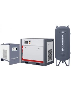 Compresor THEOR 15 cu Invertor - Eficienta Energetica