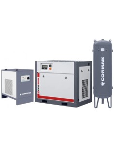 Compresor THEOR 15 Invertor - Eficienta Energetica