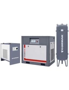 Compresor THEOR 20 Inverter - Eficienta Energetica Optima