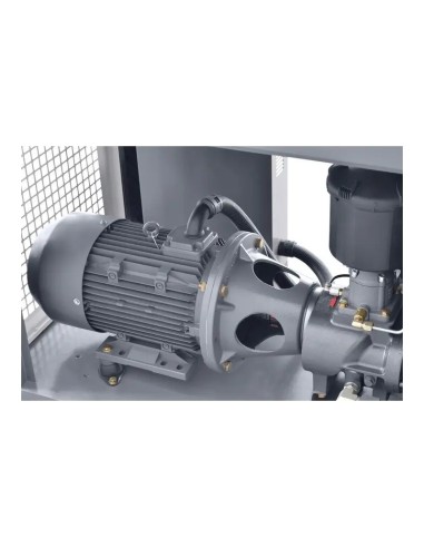 Compresor THEOR 20 Inverter - Eficienta Energetica Optima