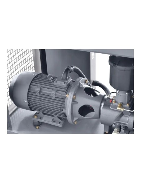 Compresor THEOR 20 Inverter - Eficienta Energetica Optima