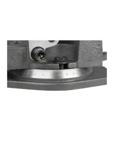 Menghina precizie 100 mm - Acuratete si Durabilitate
