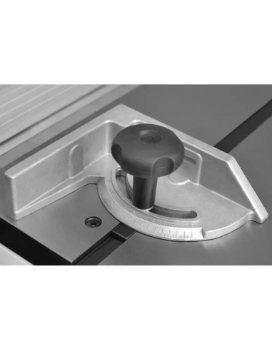 Fera de masa TS250CL  400V PROMOTIE