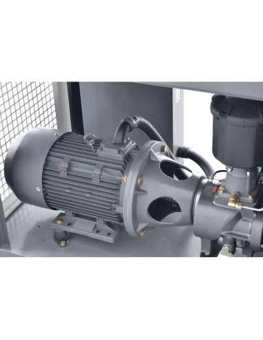 Compresor cu surub THEOR 20 - Eficienta Energetica