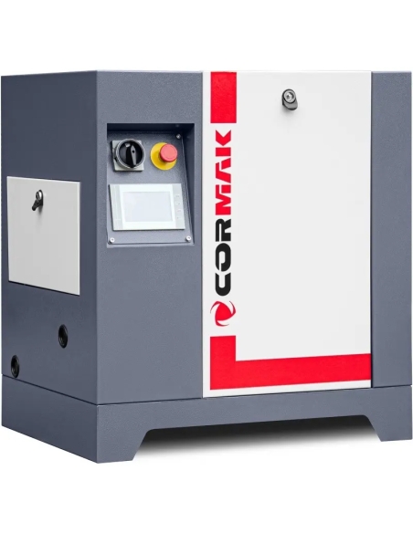 Compresor cu palete IZBERG 4,5-10, compact și silențios