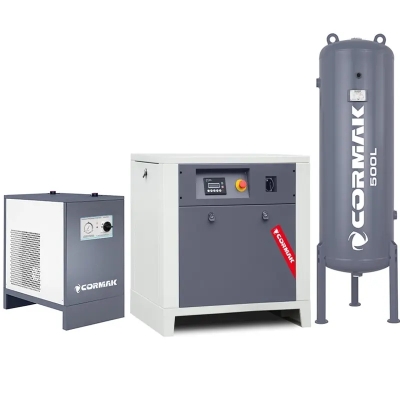 Set compresor LUFT 700 cu uscător și butelie de 500 l 2